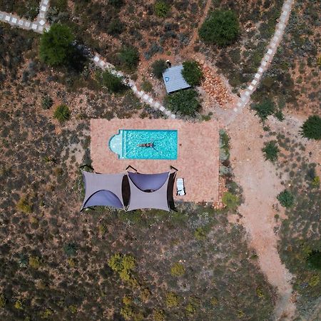 De Zeekoe Guest Farm Villa Oudtshoorn Ngoại thất bức ảnh